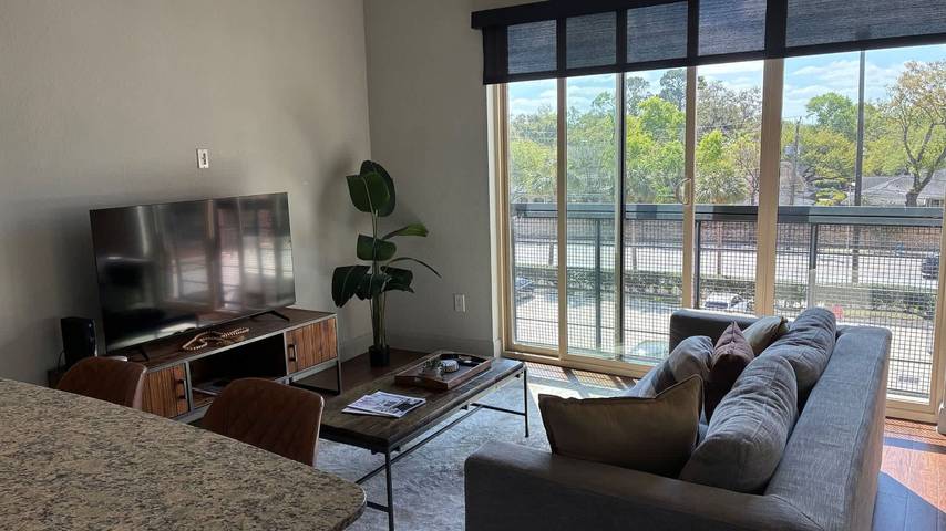 Apartment for 6 people, with pets in Houston