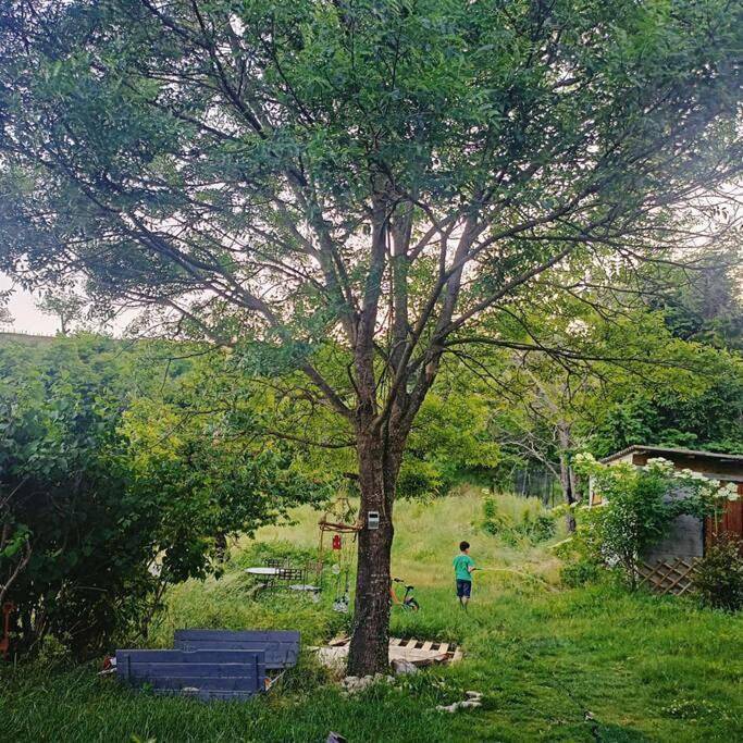 Location de vacances pour 12 personnes, avec piscine et terrasse ainsi que jardin et vue, animaux acceptés à Saint-Péray - 4