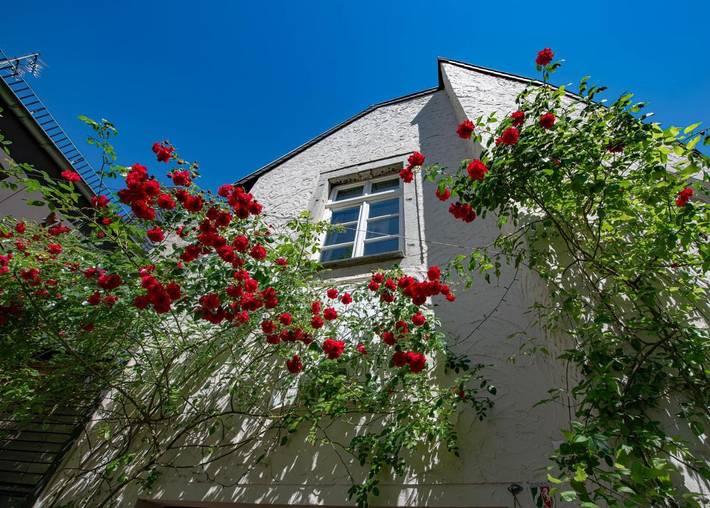 Ferienhaus für 4 Personen, mit Ausblick in Stolberg