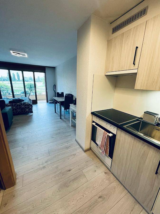 Gîte pour 2 personnes, avec balcon et vue, animaux acceptés à Saillon - 4