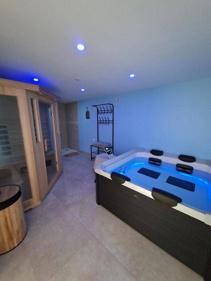 Location de vacances pour 8 personnes, avec sauna et jacuzzi, animaux acceptés à Allemant