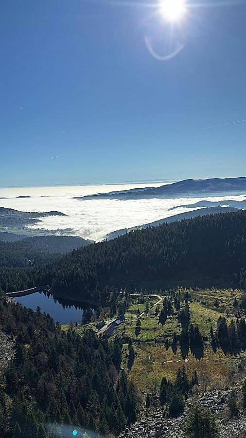 Gîte pour 2 personnes, avec vue, animaux acceptés à Soultz-Haut-Rhin - 3