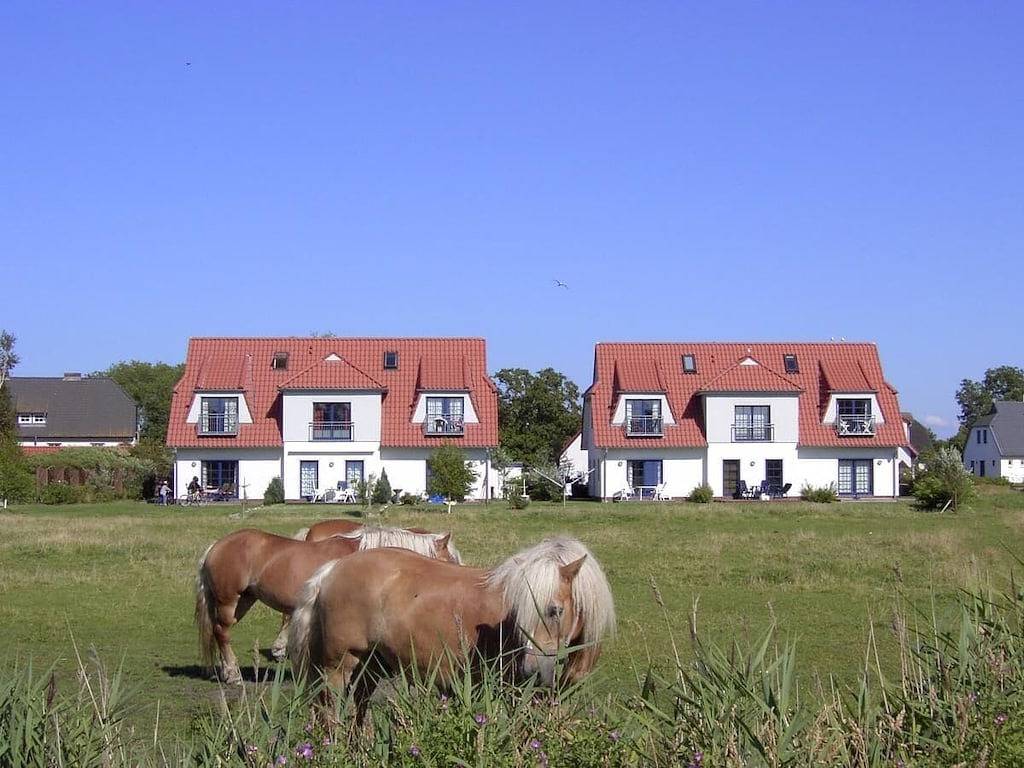 Holiday apartment in Vitte with swimming pool in Hiddensee, Baltic Sea Islands
