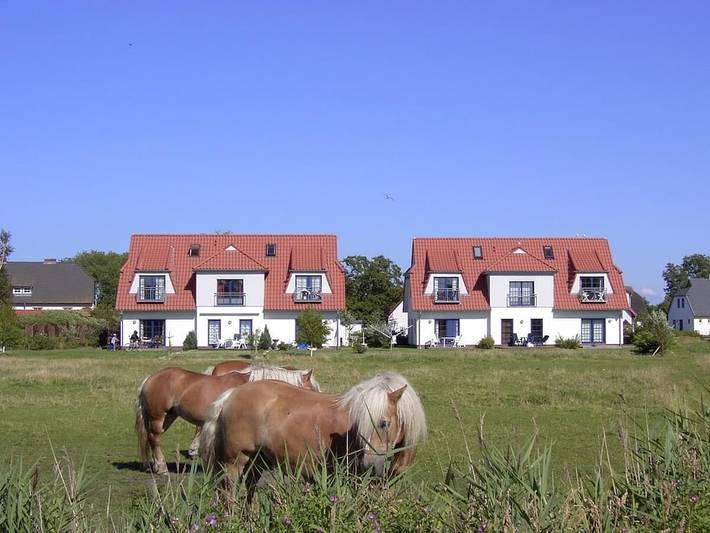Ferienhaus für 4 Personen, mit Terrasse auf Hiddensee
