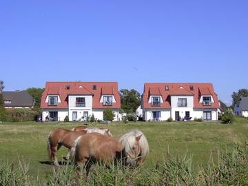 Ferienhaus für 4 Personen, mit Terrasse auf Hiddensee