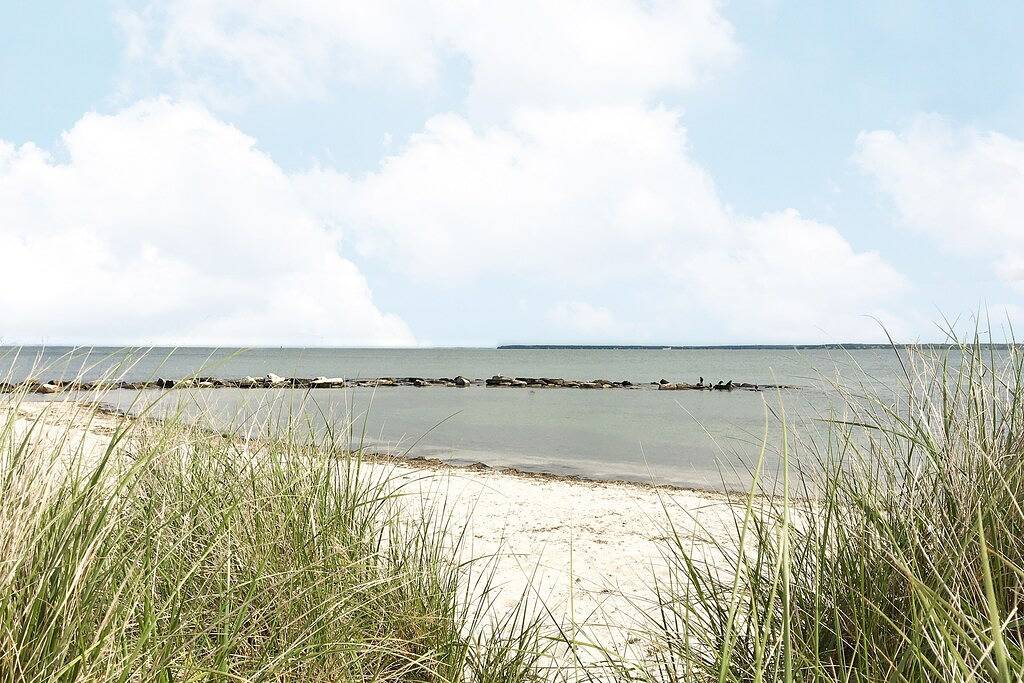 Vacation House for 6 Guests in Falmouth (MA), Cape Cod