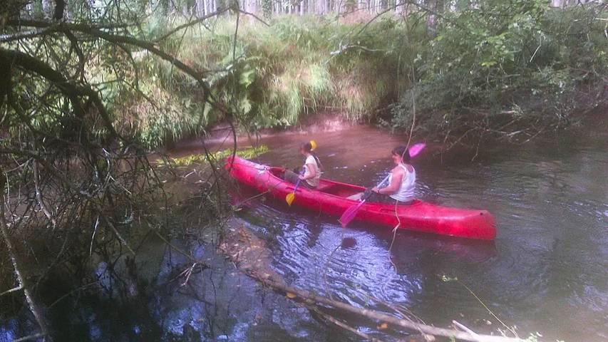 Location de vacances pour 4 personnes, avec jardin, animaux acceptés à Langoat - 3