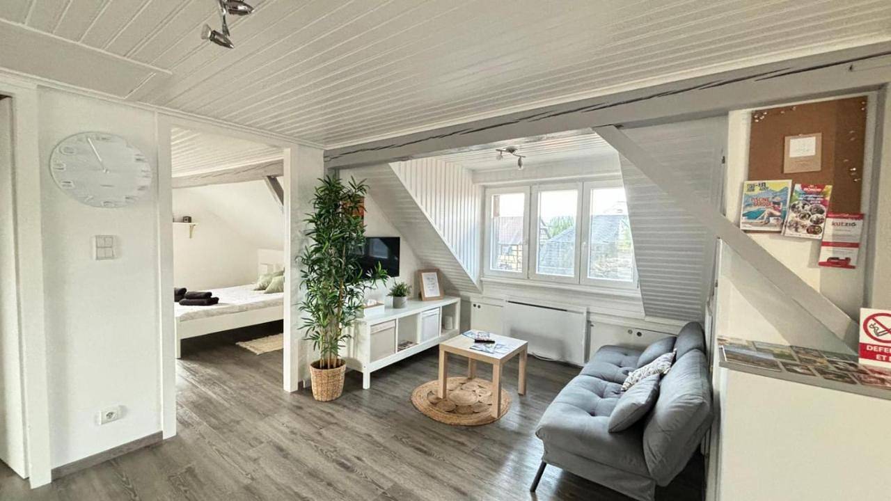 Appartement entier, Two-Bedroom Apartment in Hilsenheim, Région de Sélestat-Erstein