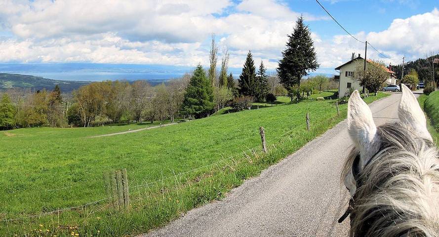Chambre d’hôte pour 2 personnes, avec vue sur le lac et jardin en Haute-Savoie - 3