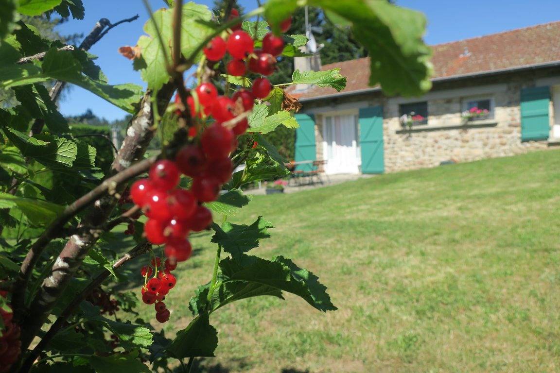 Maison des Trois Sapins in Craponne-sur-Arzon, Parc Naturel Régional Livradois-Forez