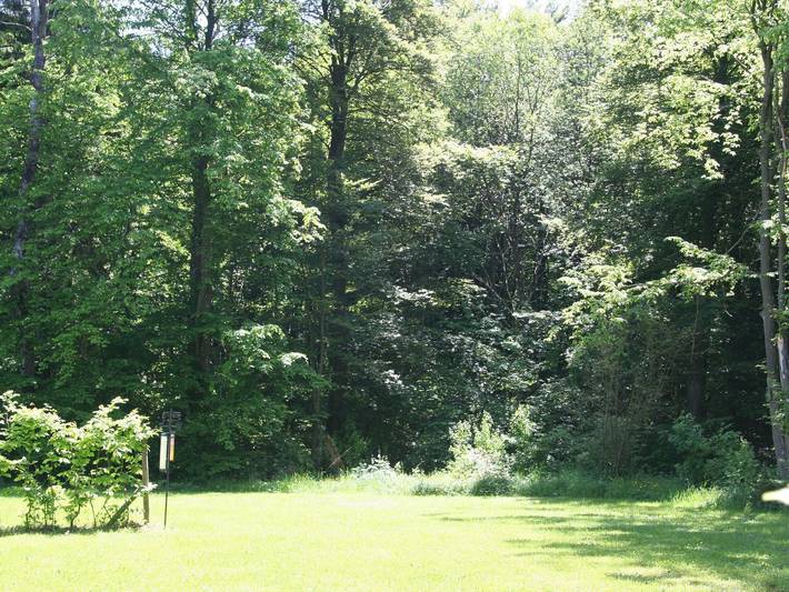 Ferienhaus für 6 Personen, mit Garten, kinderfreundlich in Gerolstein - 4