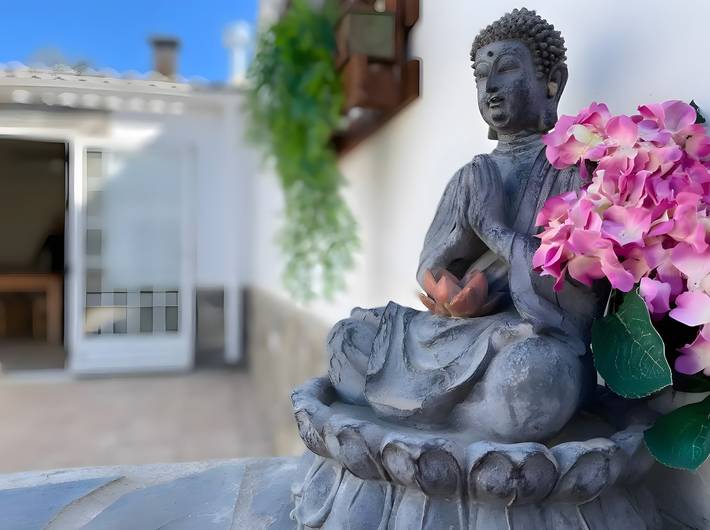 Room 'Namaste' with shared terrace, Wi-Fi and air conditioning in el Poblenou del Delta, Amposta