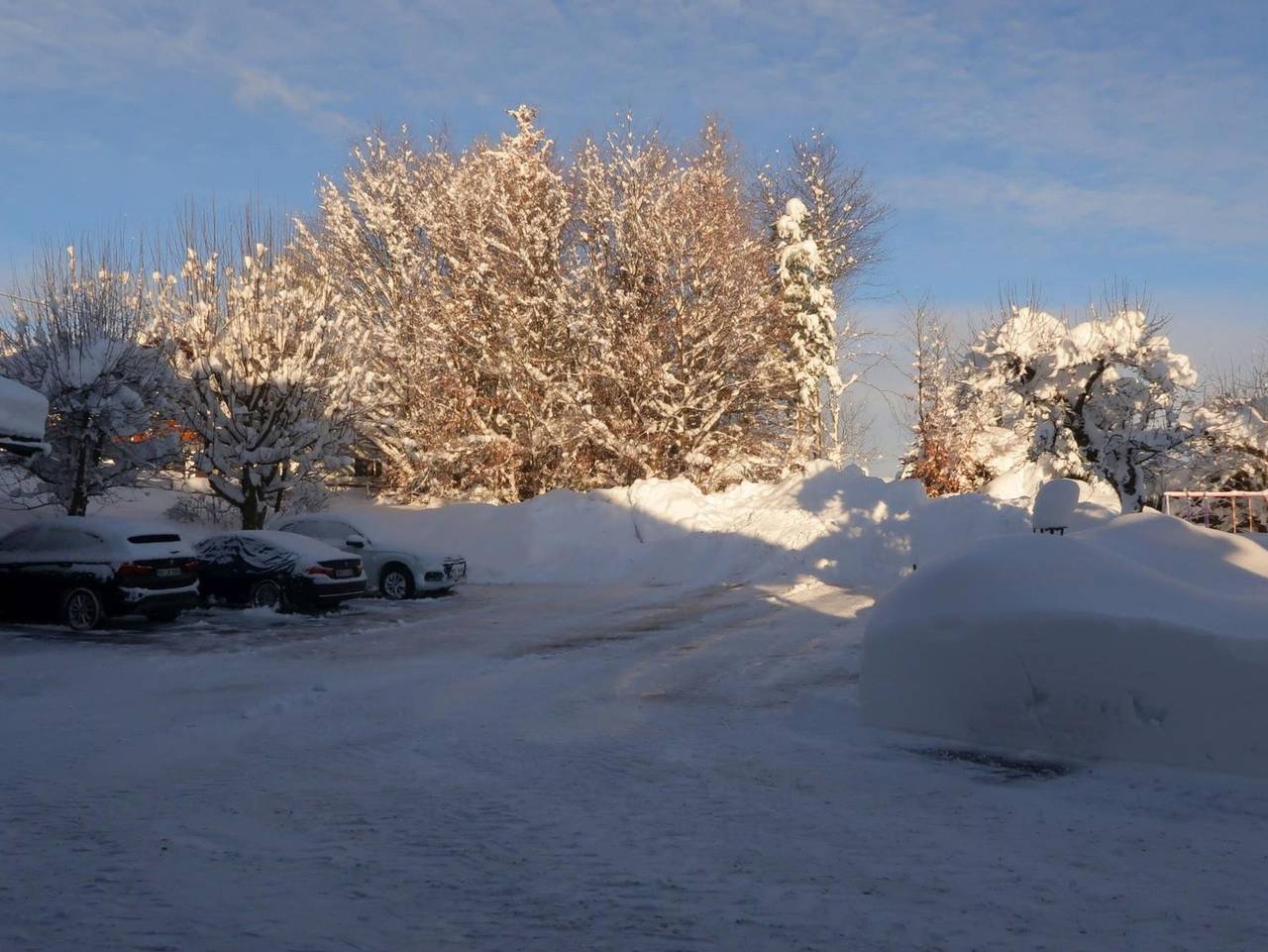 Ganzes Studio, Allgäuer Bergblick - Ferienwohnung 11 - Hörnergruppe in Fischen, Bayerisch Schwaben
