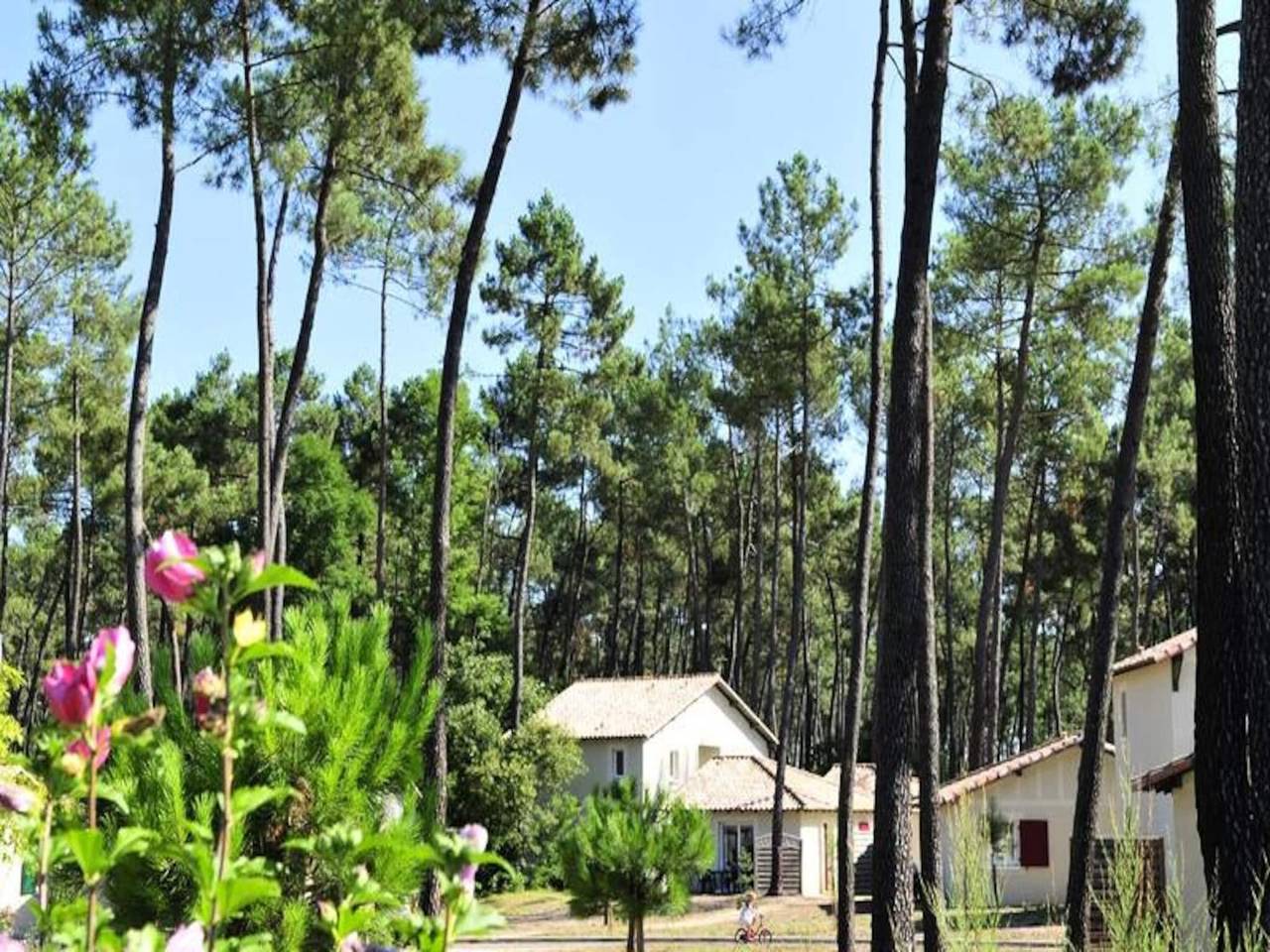 Apartamento entero, Apartamento junto al lago Clarens con piscina in Lago de Clarens, Casteljaloux