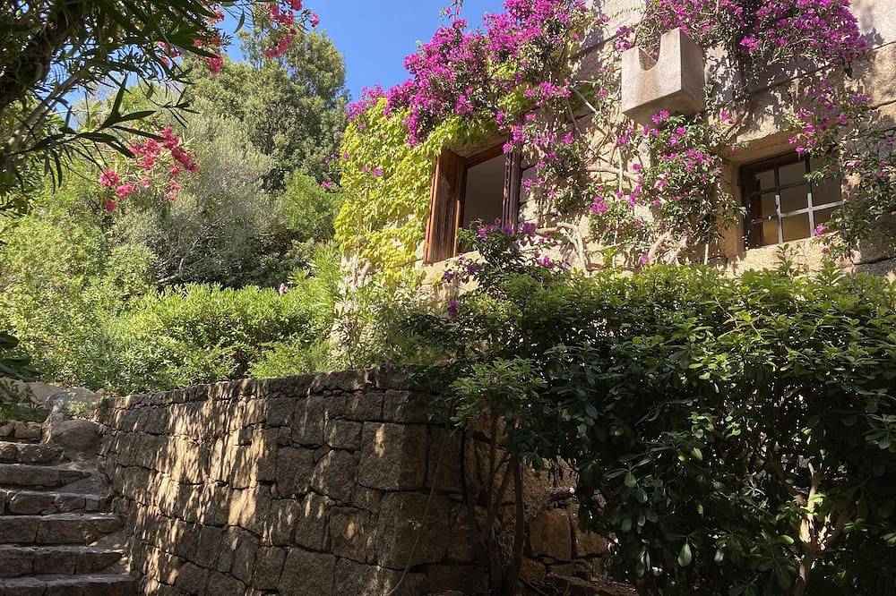 Domus Olivarum-Costa Smeralda  New! 7 guest, 3 room, 2 bathroom, 2 Pk, Wifi A/C in Cala di Volpe, Arzachena