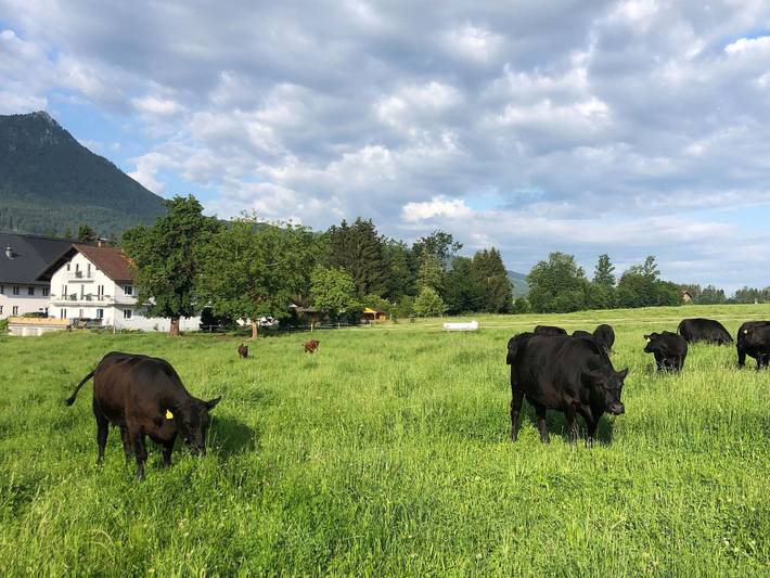 Ferienwohnung für 3 Personen, mit Garten im Salzkammergut