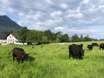 Ferienwohnung für 3 Personen, mit Garten im Salzkammergut