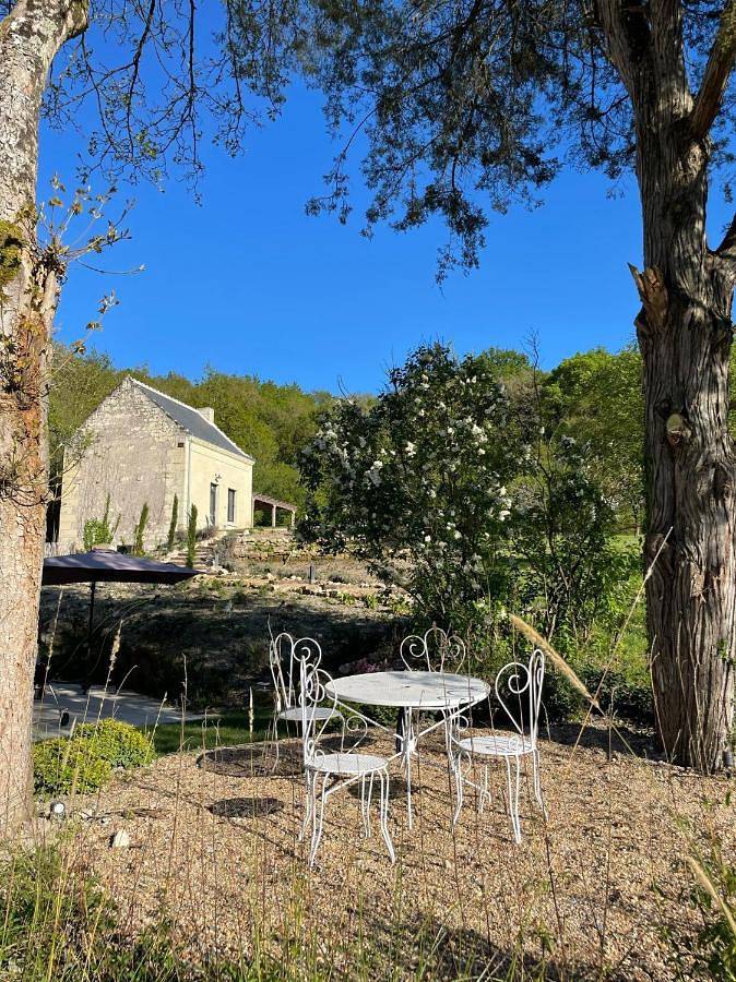 Location de vacances pour 10 personnes, avec jardin ainsi que vue et piscine à Huismes - 4