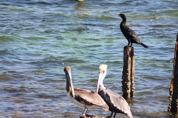 Vacation House for 8 Guests in Key Largo, Monroe County, Picture 1