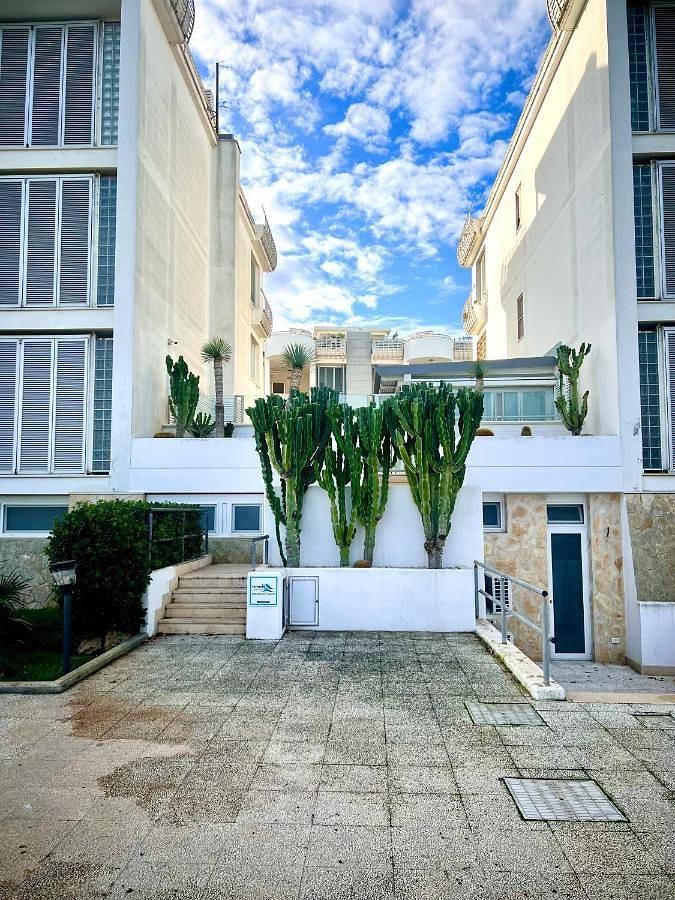 Ferienwohnung für 4 Personen, mit Terrasse und Ausblick, mit Haustier - 1