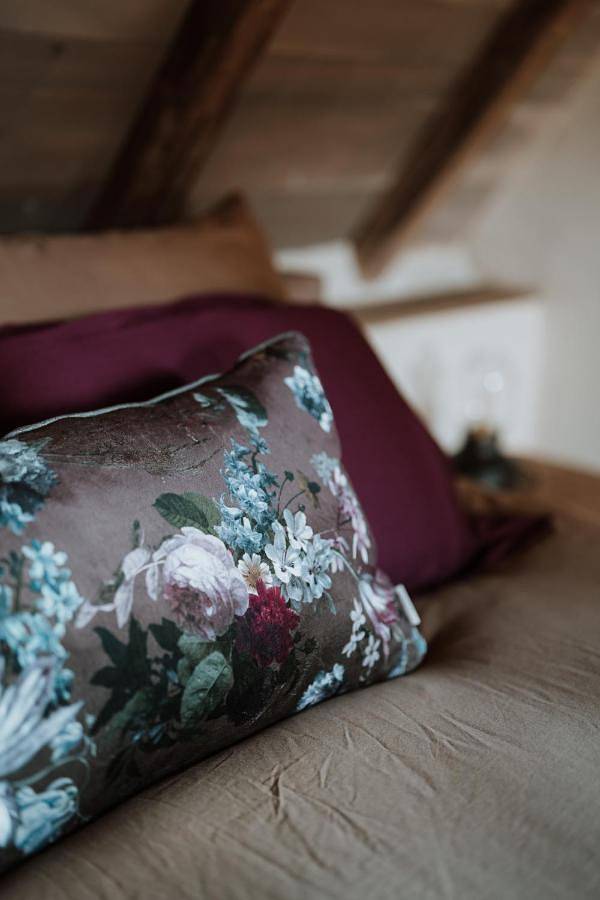 Chambre d’hôte pour 3 personnes, avec jardin ainsi que vue et terrasse dans la Région d'Audenarde - 2