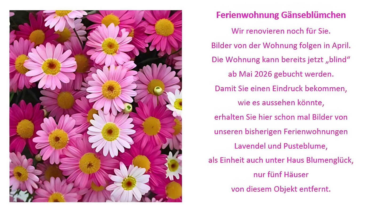 Ganze Wohnung, Ferienwohnung Gänseblümchen, 60 qm“ mit privater Terrasse, Garten und Wlan in Herscheid, Märkischer Kreis