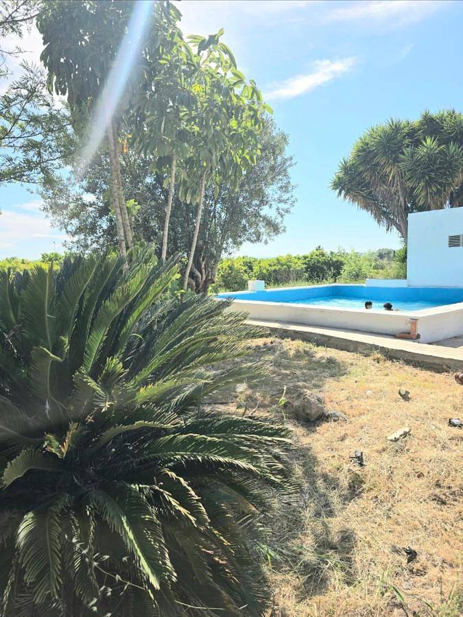 Chalet para 20 personas, con Balcón y Terraza además de Jardín y Piscina en Ribera Alta (Valencia) - 3
