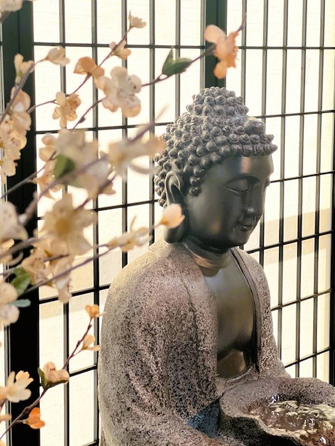 Zen asiatico con vasca idromassaggio, angolo cottura, vicino a Victoria Sq in Sparks, Nevada