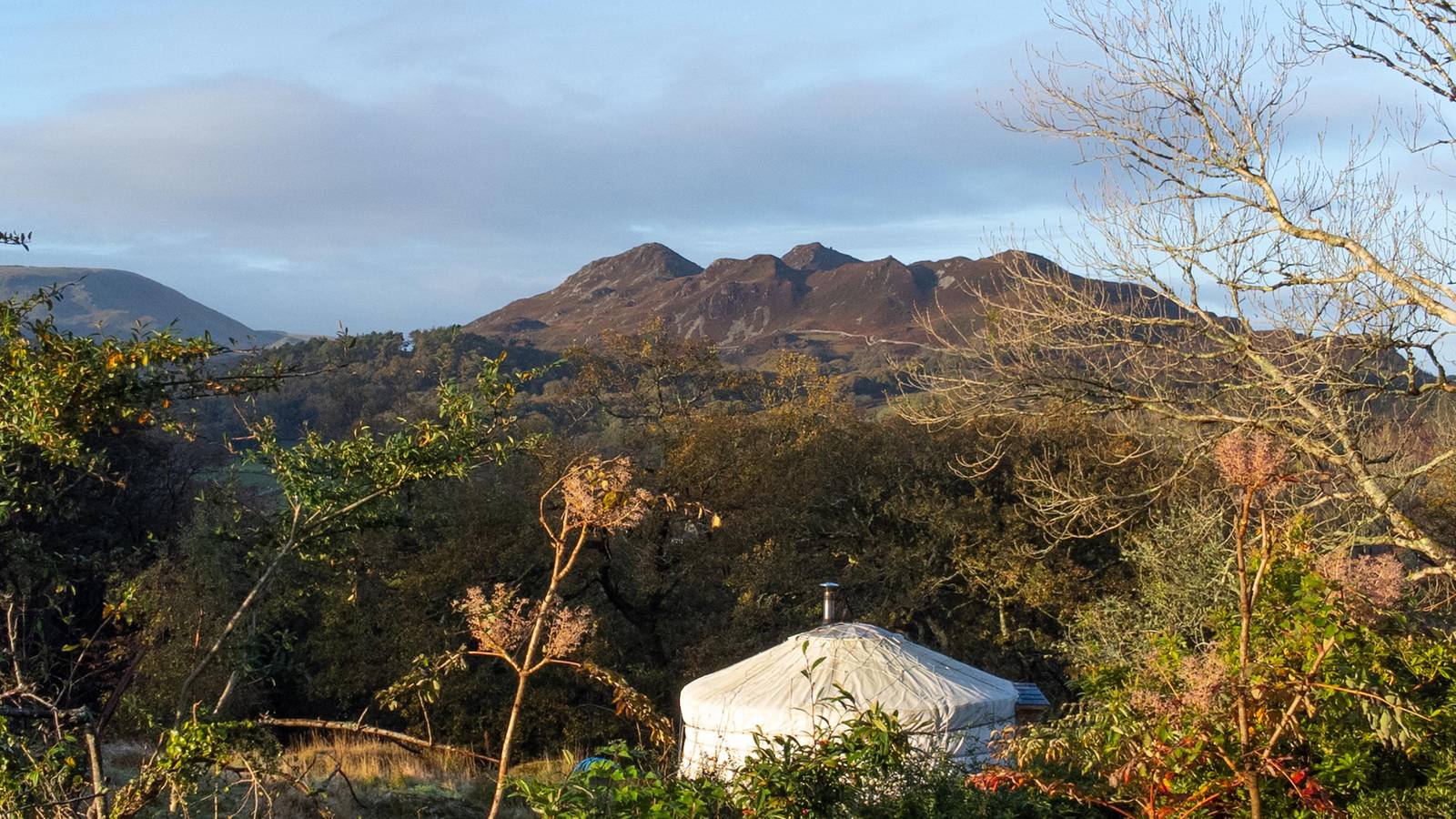 Pandy Traditional Yurt in Snowdonia