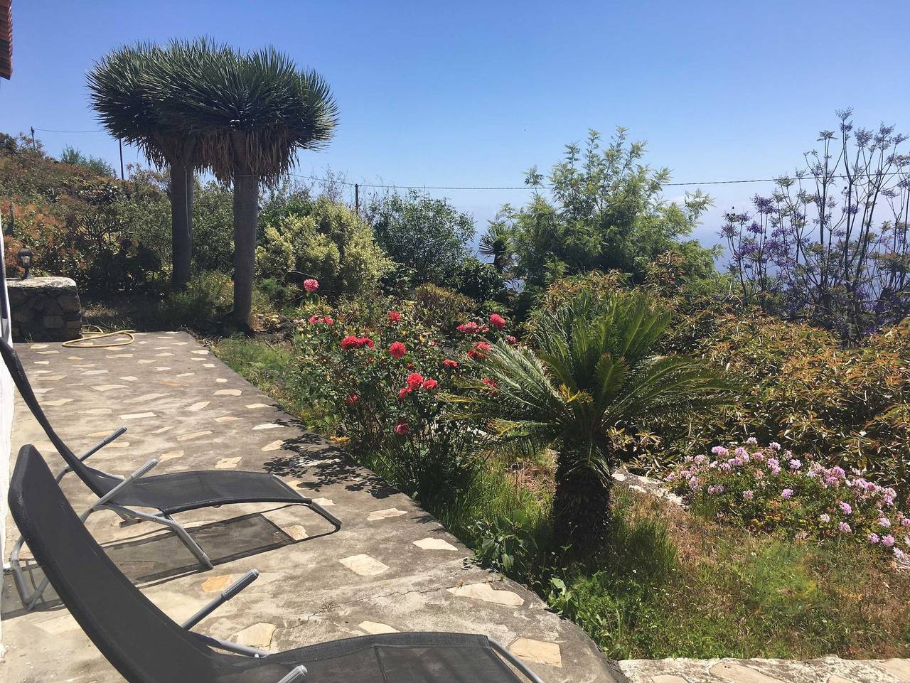 Finca Alegría in La Rosa, Villa de Mazo