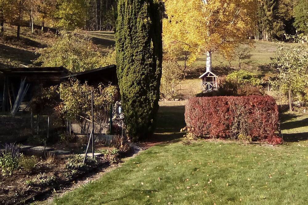 Gite chez Marie france in Steige, Région de Sélestat-Erstein
