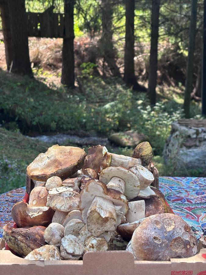 Location de vacances pour 4 personnes, avec terrasse à Puyvalador - 4
