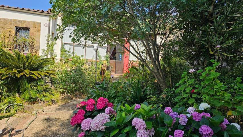 Location de vacances pour 2 personnes, avec vue ainsi que jardin et terrasse, animaux acceptés à Ustica - 4