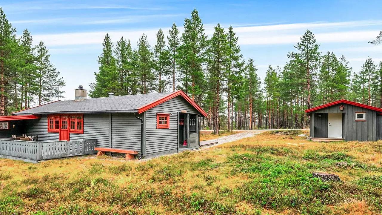 Ferienhaus für 6 Personen (65 m²) in Røros in Røros