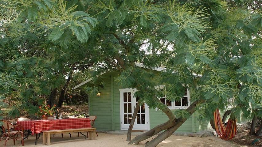 Location de vacances pour 4 personnes, avec terrasse, animaux acceptés à Montegrosso - 2