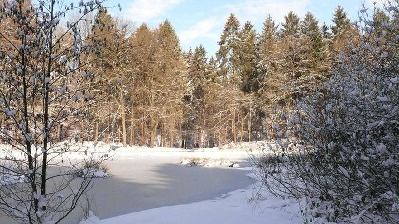 Ganze Ferienwohnung, Ferienwohnung für 2 Personen (40 m²) in Buxtehude in Buxtehude, Altes Land Stade