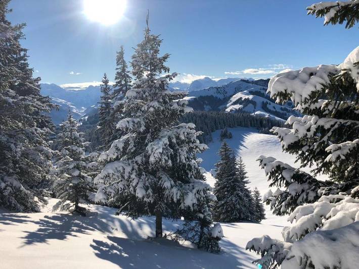 Gîte pour 4 personnes, avec vue et jardin dans Charmey - 4