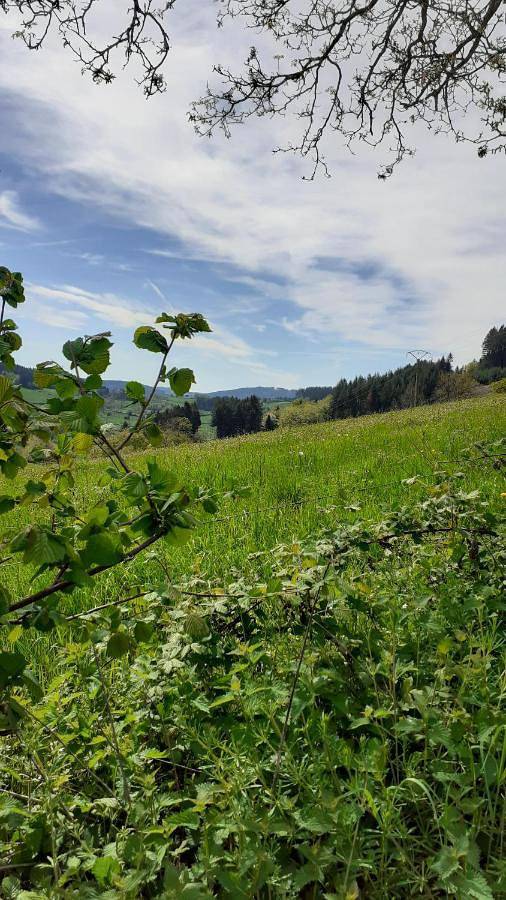 Location de vacances pour 2 personnes, avec jardin ainsi que vue et piscine dans Saint-Racho - 2