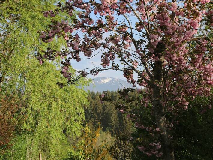 Ganze Ferienwohnung, Ferienhaus Enke nahe Tegernsee - Ferienhaus Enke in Miesbach, Alpenland Tegernsee Schliersee