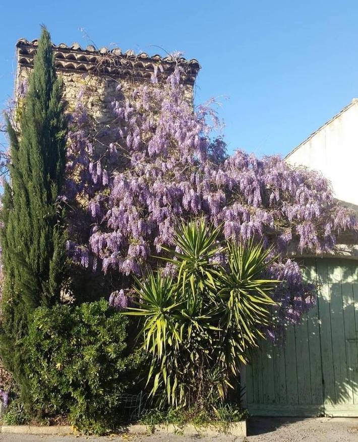 Gîte pour 4 personnes à Aigues-Vives - 2