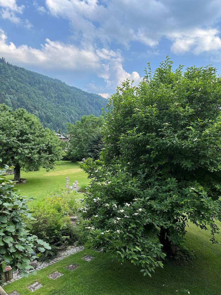 Ganze Ferienwohnung, Villa Berger in Dobriach, Radenthein