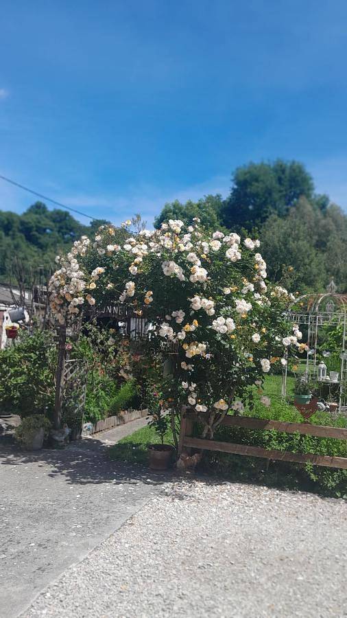 Chambre d'hôte Amitié et Jardin in Carmaux, Région d'Albi