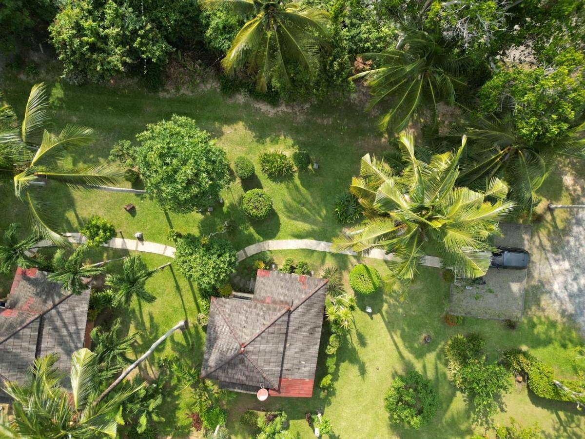 Silent Palm Samui in Koh Samui