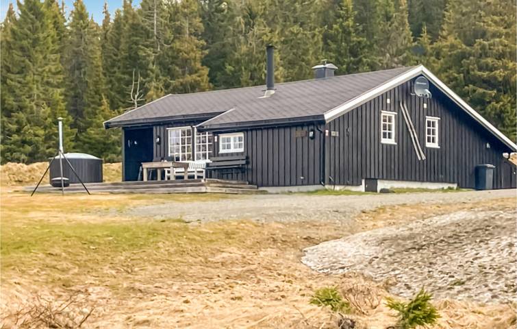Location de vacances pour 8 personnes, avec terrasse et jardin dans Lillehammer - 2
