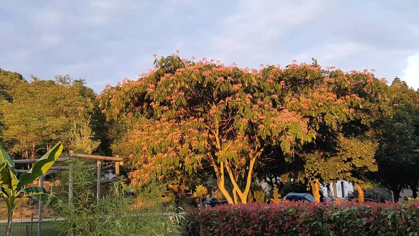 Chalet pour 2 personnes, avec piscine et terrasse, animaux acceptés dans le Gers - 3
