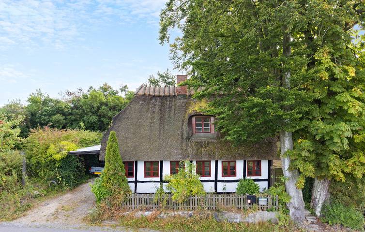 Ferienhaus für 6 Personen, mit Terrasse auf Langeland - 3