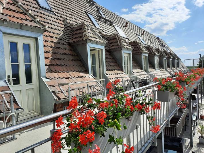 Ferienwohnung für 4 Personen, mit Garten und Sauna in Senftenberg - 3