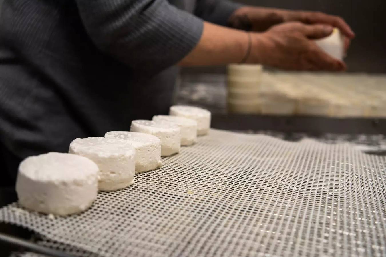 Appartement entier, Une parenthèse nature avec Tiny House pour 2 adultes + 1 enfant jusqu'à 12 ans + 1 bébé in Trets, Région d'Aix-en-Provence