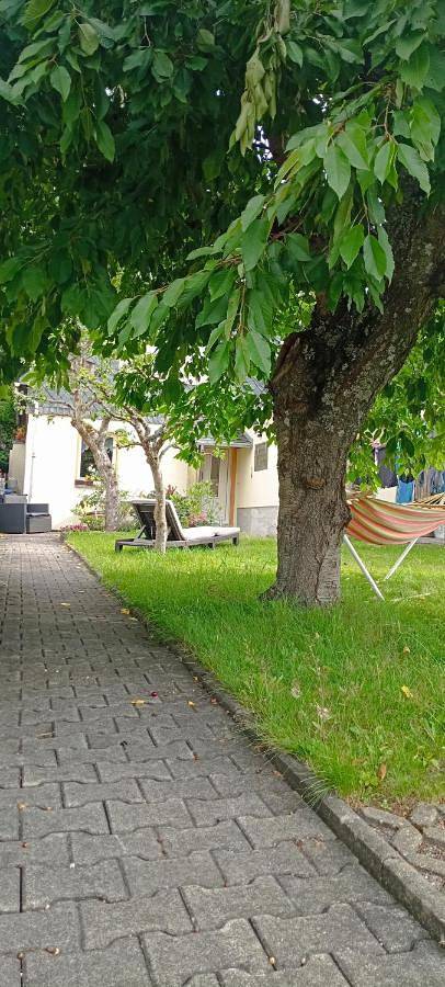 Ferienwohnung für 4 Personen, mit Terrasse und Ausblick in Frauenstein