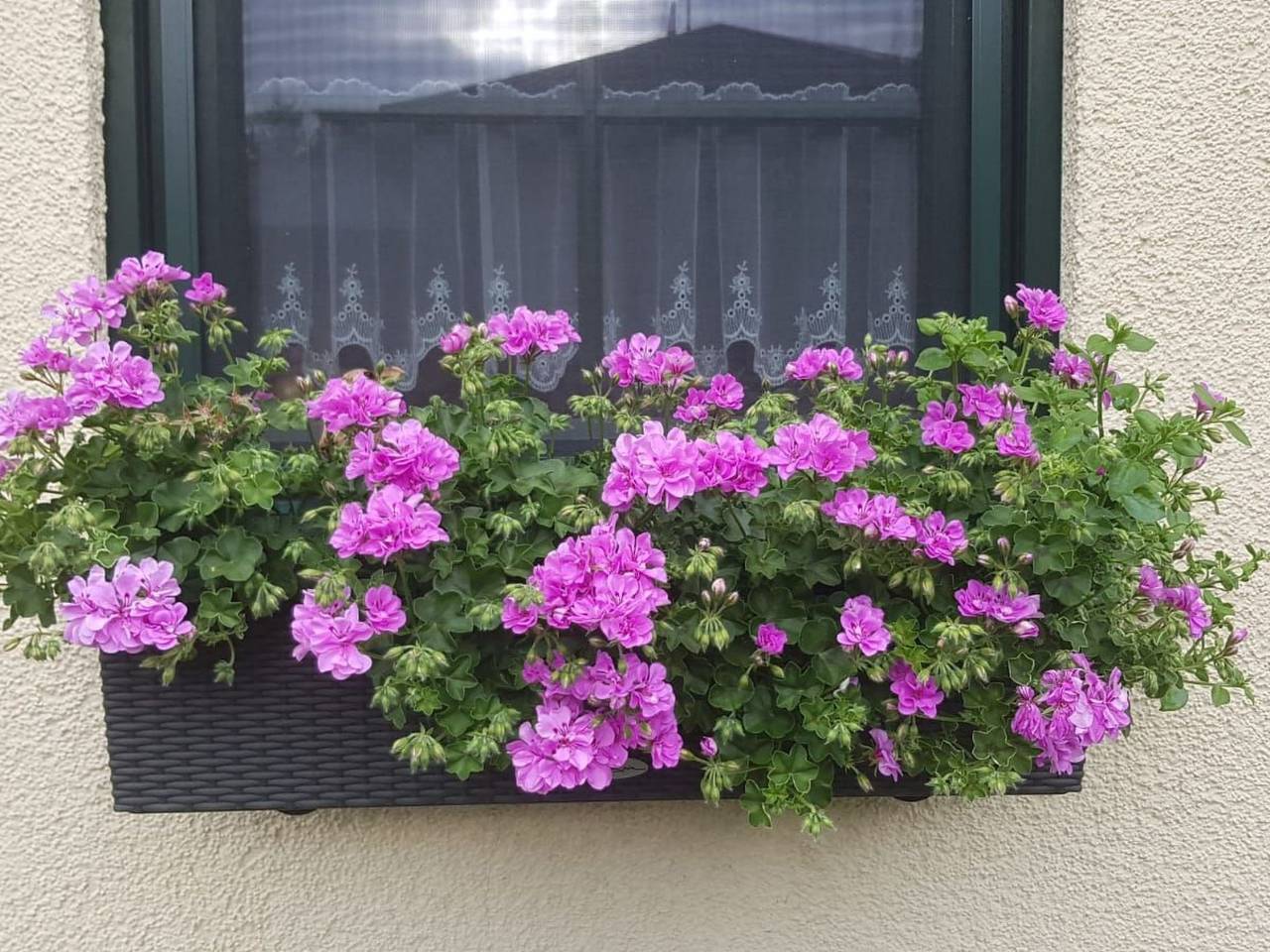 Ganze Wohnung, Am Marsfeld in Borkheide, Mittelmark